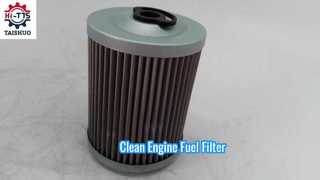 FF5584 P550839 7029275 20549350 Filtr paliwa