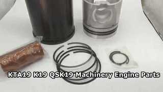 KTA19 K19 QSK19 Części silnika maszynowego KTA19 Liner 4308809