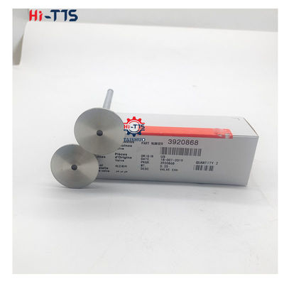 Dobra cena. 4BT 6BT 6D102 Zawór wchłanialny silnika wysokoprężnego Zawór wydechowy 4995554 3901117 3920867 3920868 w Internecie