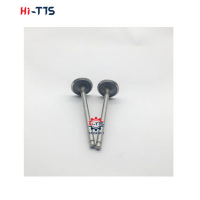 S4D102 S6D102 Zawór do wchłaniania i wydechowania 6732-41-4210 6732-41-4110